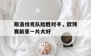 爱游戏在线官网-斯洛伐克队险胜对手，欧预赛前景一片大好
