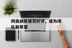 爱游戏官方首页-阿森纳新援获好评，成为球队新希望